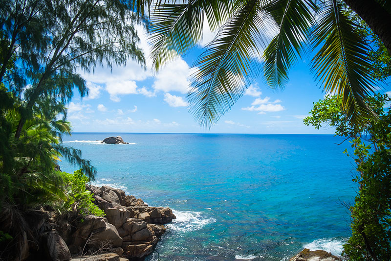 Tropical beach scene from free stock photography website Pexels